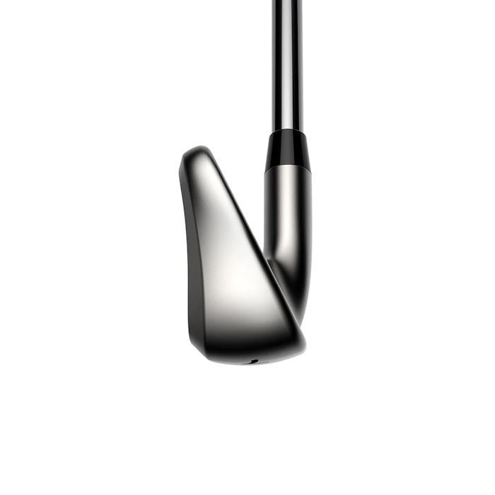Cobra DS-ADAPT Irons - Steel 5-SW