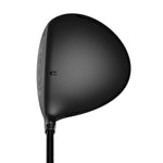 Cobra Darkspeed Max Driver