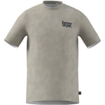 adidas Golf Flag of Play T-Shirt - Wonder Alumina | KB2414
