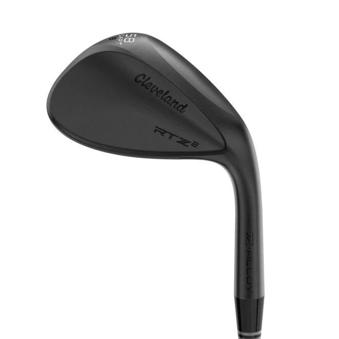 Cleveland RTZ 2 Black Satin Wedge