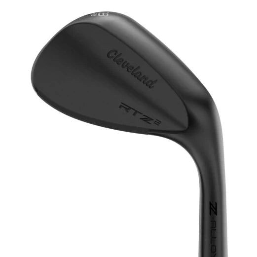 Cleveland RTZ 2 Black Satin Wedge