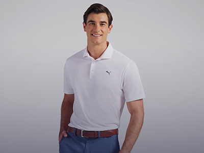 files/Puma_collection_tinted.png