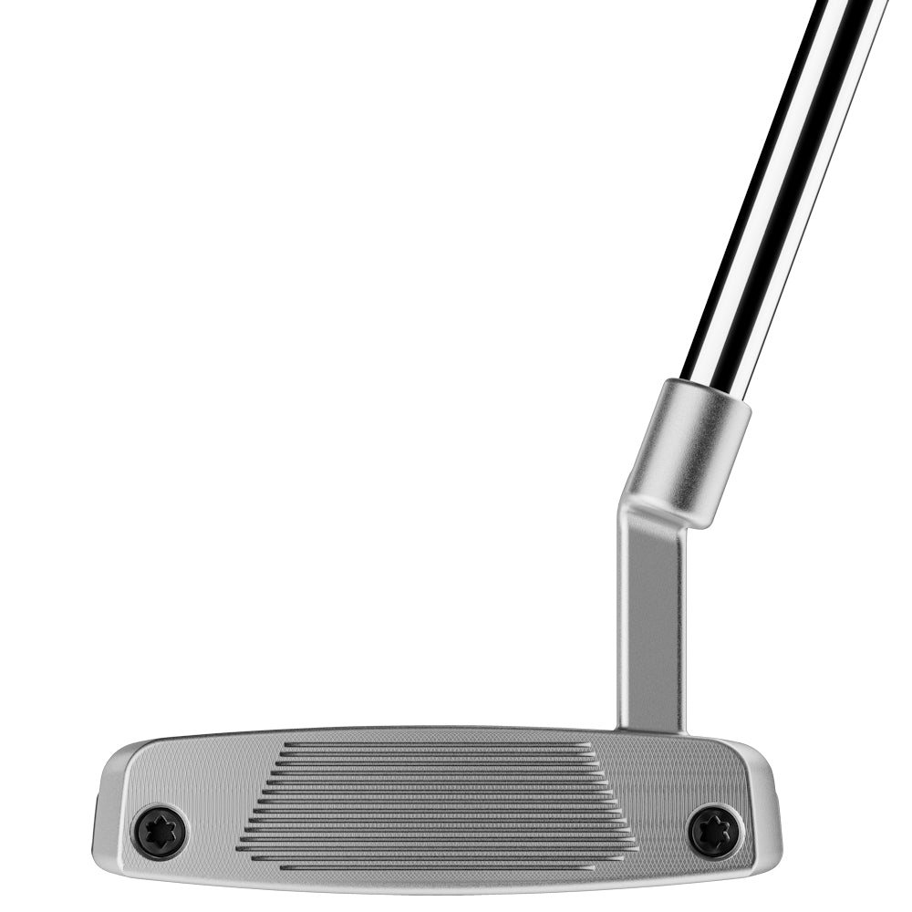 TaylorMade SYSTM2 Bandon L-Neck Putter