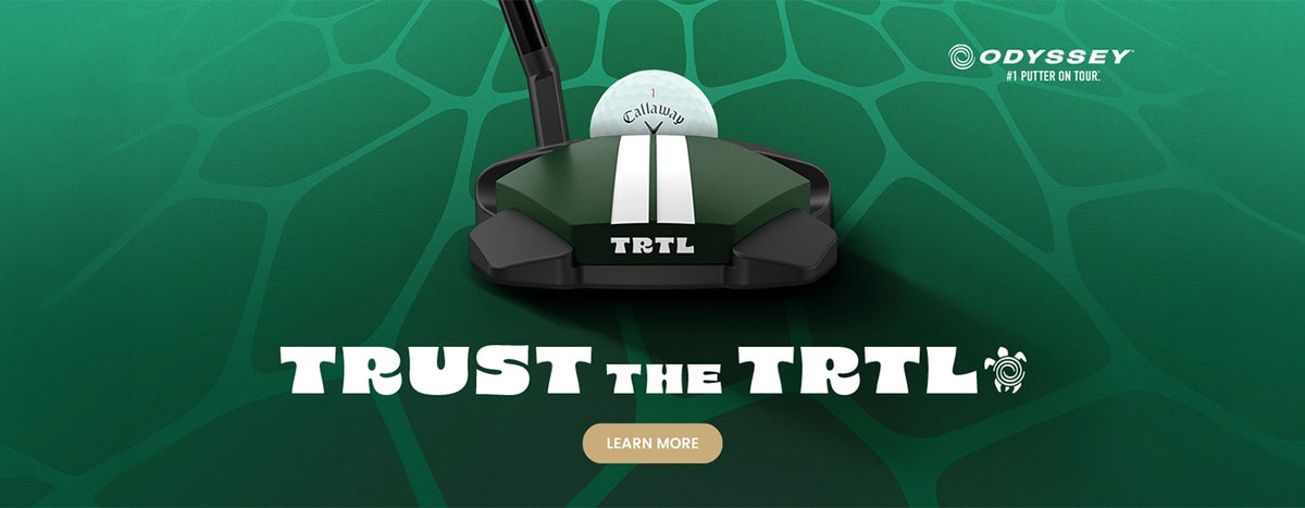 files/TRTTL_Banner_Website.webp