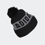 Picture of adidas Pom Pom Beanie - Black	 HC6183