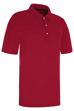 Picture of ProQuip Mens Pro-Tech Solid Colour Polo Shirt - Crimson Red