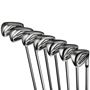 Picture of Cobra DS-ADAPT Irons - Steel