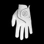 Picture of FootJoy Mens SciFlex Golf Glove